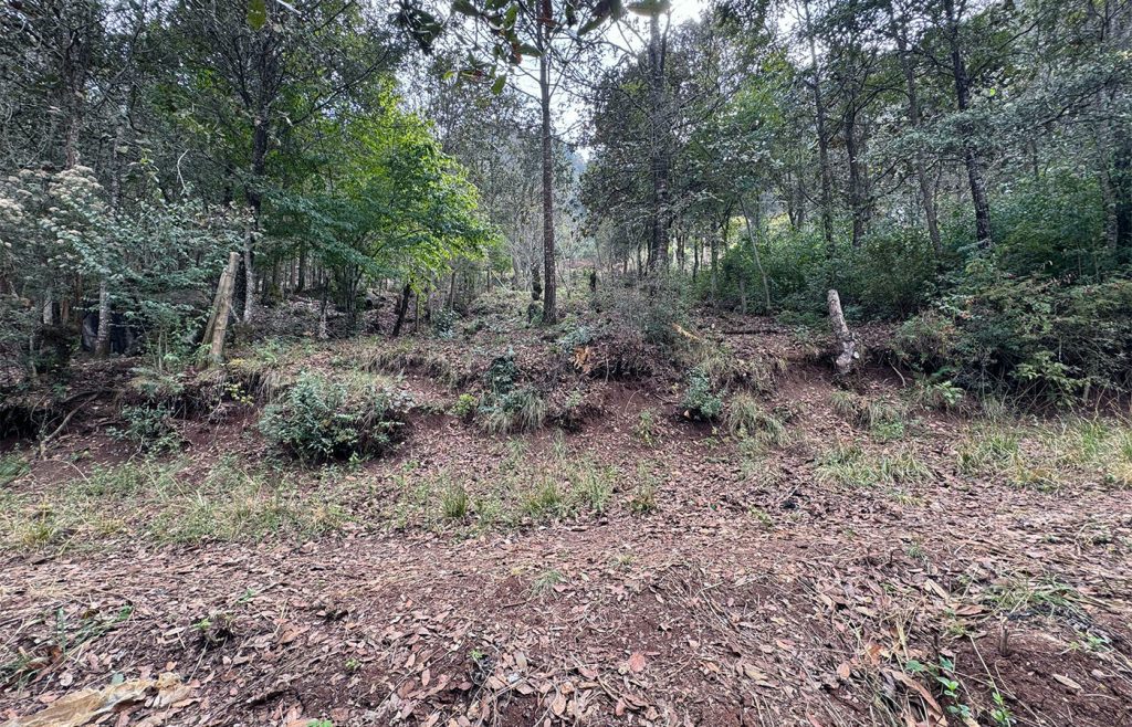 Terreno rústico en venta en Explanada del Carmen, San Cristóbal de Las Casas. 200 m², acceso vehicular y facilidades de pago desde $400,000 MXN.