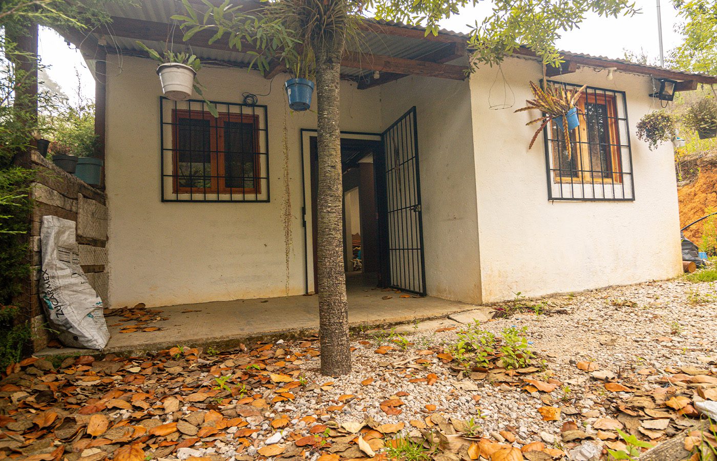 Foto 2