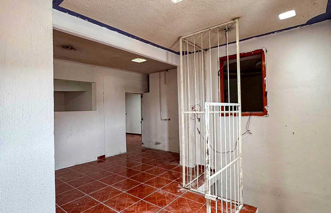 Foto 5